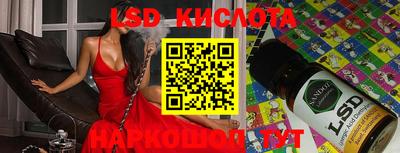 прущие грибы Донской