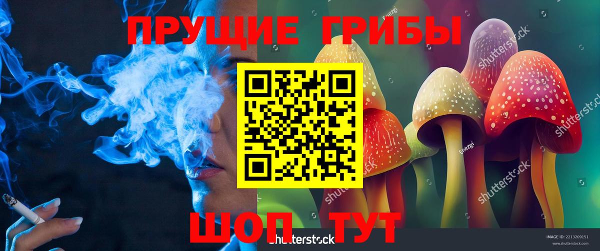 как найти наркотики  Псилоцибиновые грибы GOLDEN TEACHER  Вход с VPN  Коряжма 